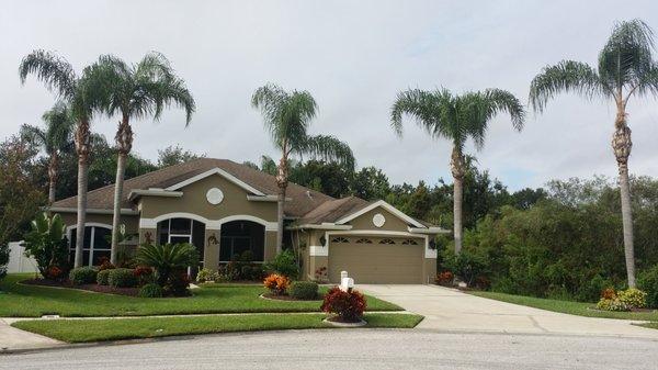 Landscape maintenance, palm tree trimming.