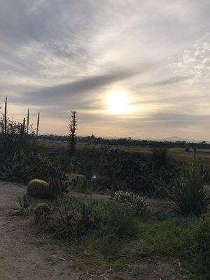 Florida Canyon Trail next to Rose Garden in Balboa Park