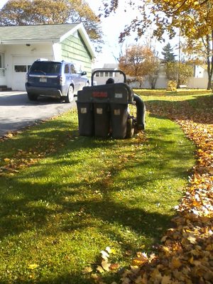 leaf cleanup