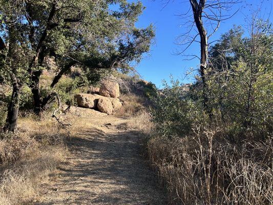 Jump out of the campus and enjoy fun hikes and hang.