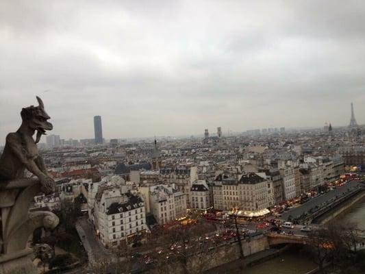 Taken from the top of Notre Dame in Paris