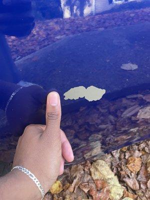 The paint chip, with my thumb for scale. Located on passenger rear quarter panel.