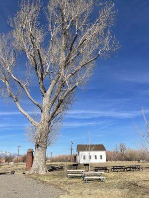 Dangberg Home Ranch Historic Park