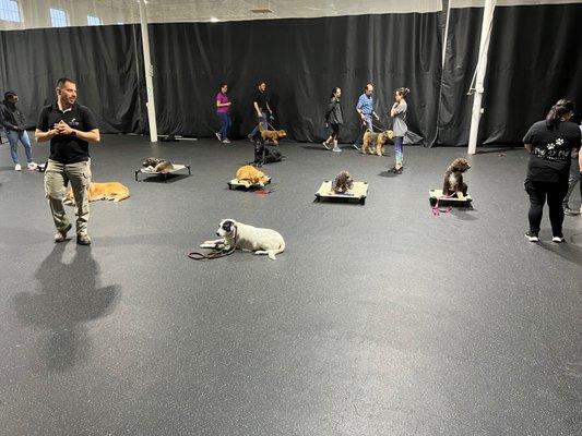 Paw by Paw Dog Training