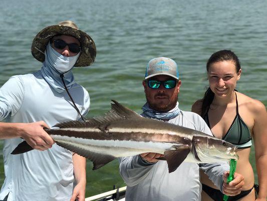 Cobia