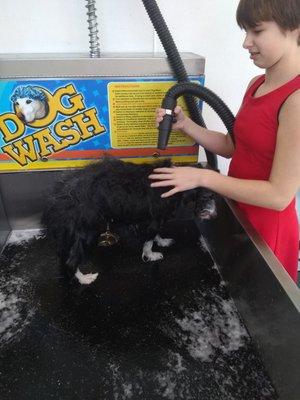 Rock of Ages Self Serve Dog Wash