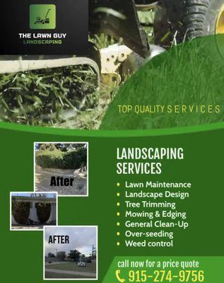 The lawn guy landscaping