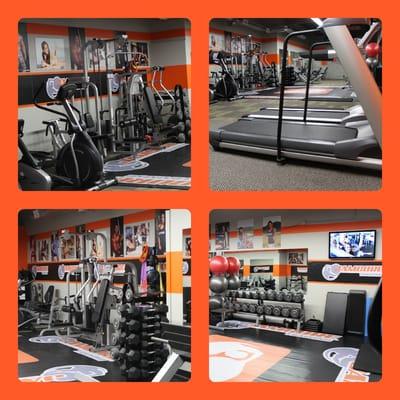 State of the art fitness equipment in an exclusive private suite with LCD TV monitors run by top fitness professional.