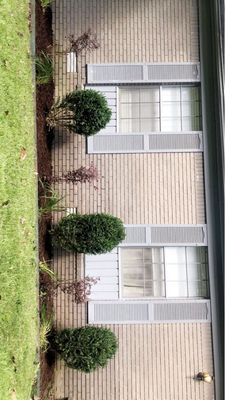 Shrub trimming and remulch