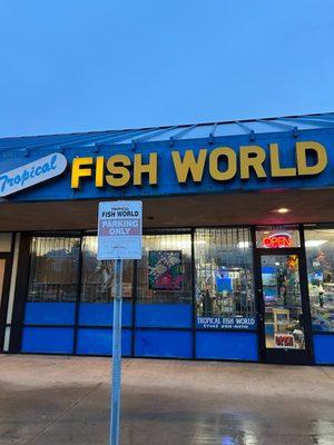 Fish World