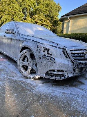 Maybach wash