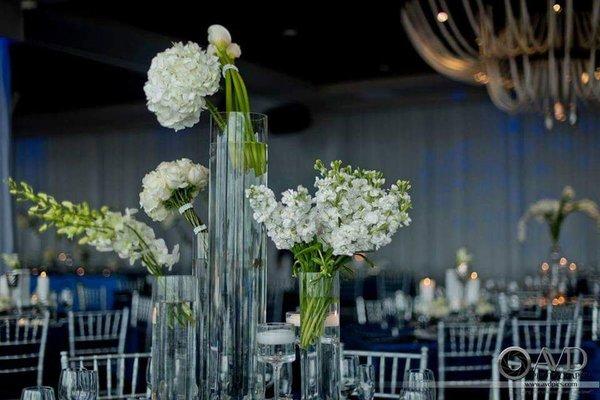 Floral and Plants arrangement