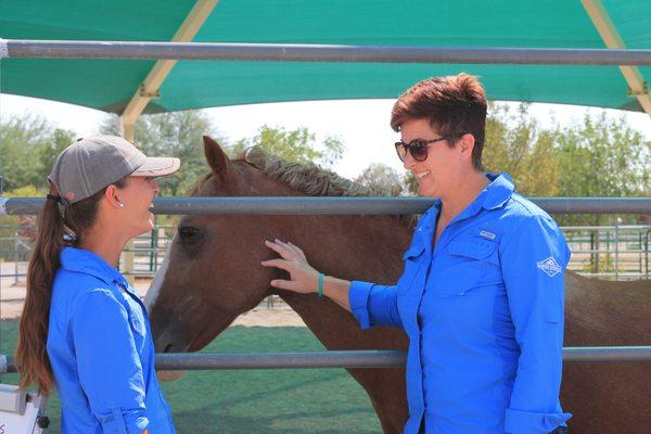 Leadership and Communication Breakthroughs Led with Horses