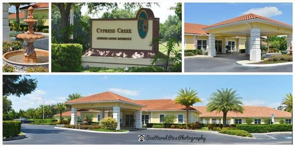 Cypress Creek ALF collage for website & advertisements.