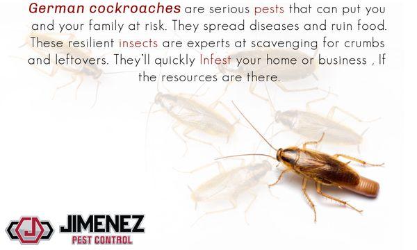 Jimenez's pest identification