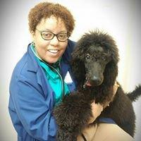 Dr. Payne and our office Therapy Dog, Kuno