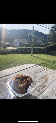 Blueberry Muffin while sitting outside on their  picnic tables