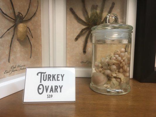 Turkey ovaries look terrifying