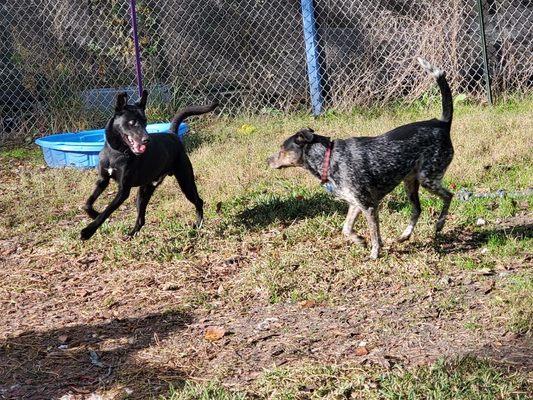 Playtime at camp