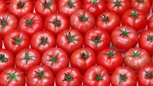 Tomato Market