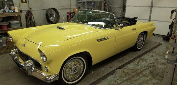 1955 T-Bird