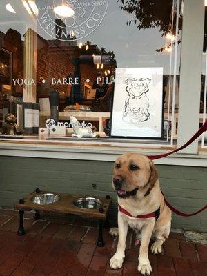 We don't forget that our Yogi Dawgs need serenity & wellness, too - they got their own Main St Wellness Facebook Page