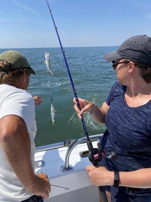 Two sea trout