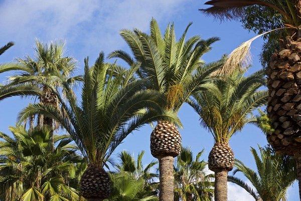 Phoenix Palm Tree Services