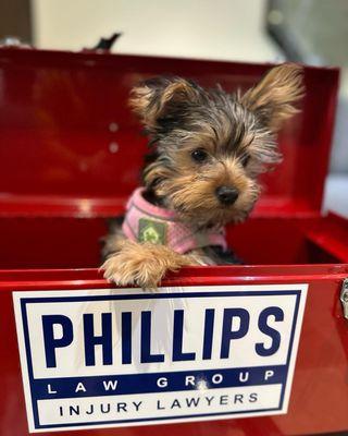 Phillips Law Group