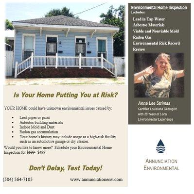 Environmental Home Inspection