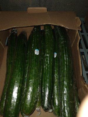 Moldy cucumbers they wanted to serve to the elderly in their salads.