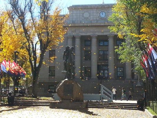 Fall leaves in Prescott, AZ