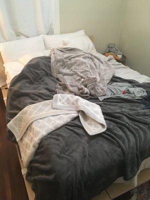 This is the way my bed looked when I came home.