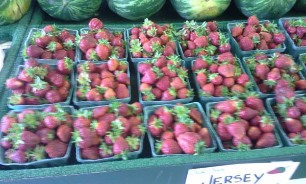 First day of strawberry season - woot woot