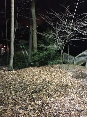 View from the top of the toboggan run, waiting to ride.