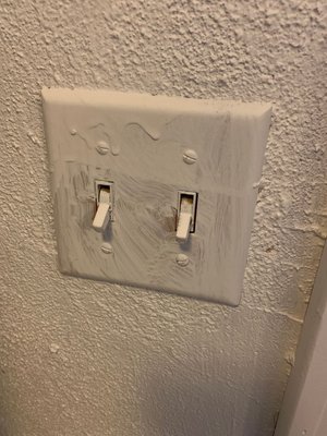 Does not remove wall plates - just paints right over them!