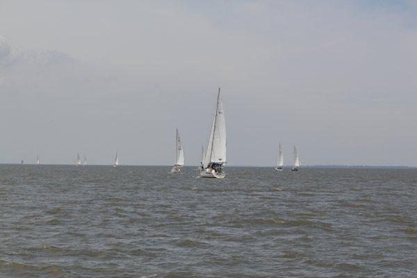 Sailing down the bay