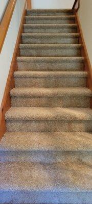 Carpet / stairs