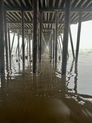 Under the pier