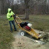 Stump grinding