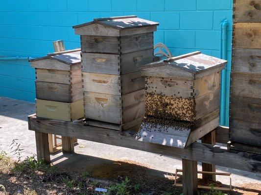 Apiary