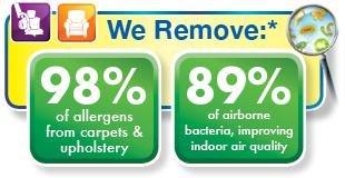 Chem-Dry removes 98% of allergens from your carpet!