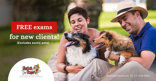 Get your pet's first exam for FREE at Sherlock Bones Animal Hospital! Call 317-548-6800 to schedule your appointment!