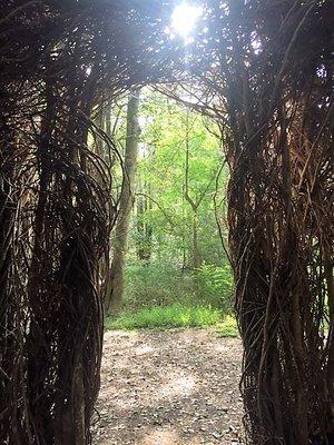 Find the explorer within us all and enjoy the views from inside the natural gazebo