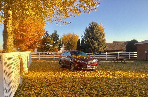 This is my tent site. I slept in the back of my car since it was too cold for me to pitch a tent. As you can see Fall is stunning here.