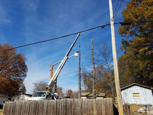 Removing large tree between fence and building.