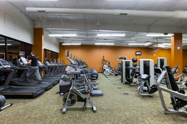 Variety of Cardio Machines