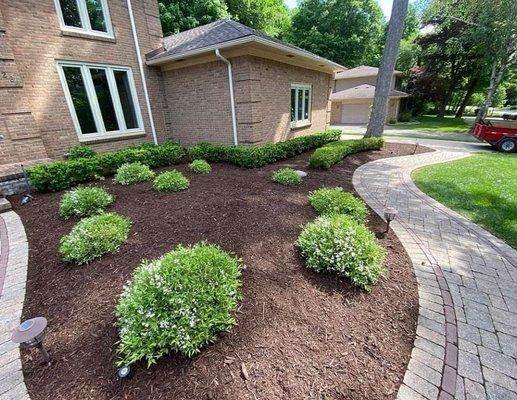 Spring cleanup and new mulch