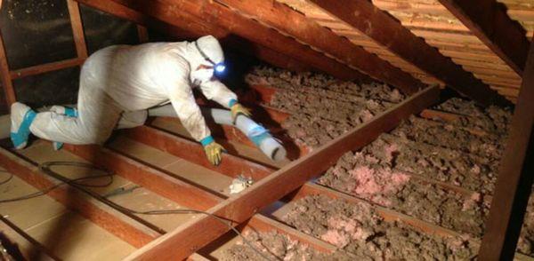 Attic cleaning out from rodent contamination