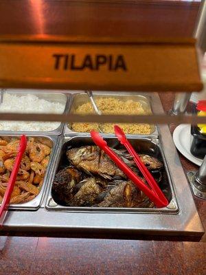 Tilapia